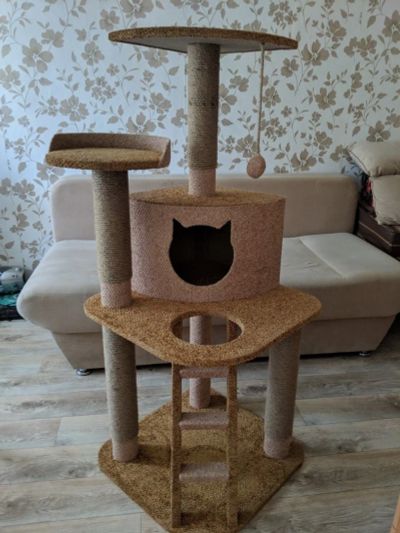 Лот: 14356235. Фото: 1. Домик для кошки. Домики, переноски, клетки, когтеточки