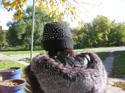 Лот: 3255553. Фото: 1. шапка со стразами. Головные уборы