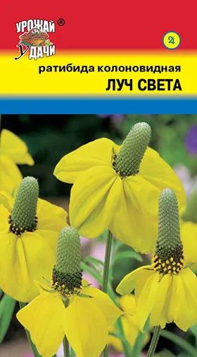 Лот: 12959068. Фото: 1. Семена ратибиды колонновидной... Садовые цветы