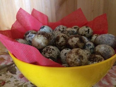 Лот: 10508223. Фото: 1. Яйца перепелиные. Мясо, птица, яйцо