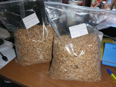 Лот: 24425979. Фото: 1. Пшеница 1 кг корм для птиц, для... Крупы, сыпучие продукты