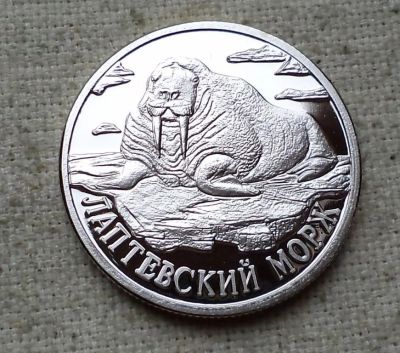 Лот: 10761407. Фото: 1. 1 рубль 1998 лаптевский морж. Россия после 1991 года