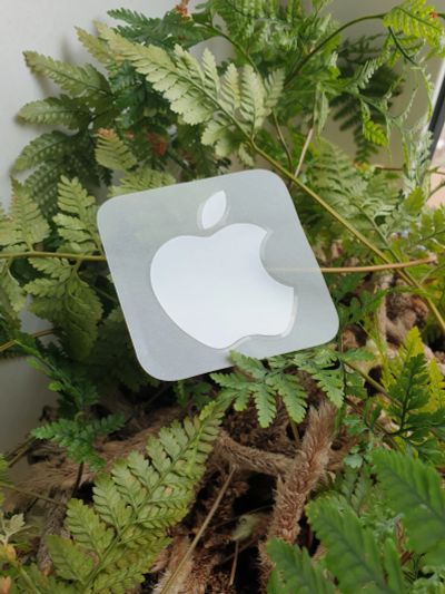 Лот: 20007698. Фото: 1. Наклейка Apple оригинал 🥰😍. Наклейки, карточки, вкладыши