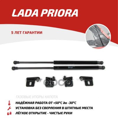 Лот: 21850034. Фото: 1. Амортизаторы Капота АвтоУпор арт... Другое (автозапчасти)