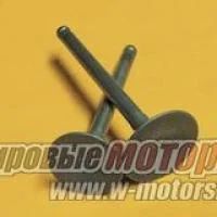 Лот: 7613225. Фото: 1. Клапана Delta, Zodiak 70-110см3... Запчасти