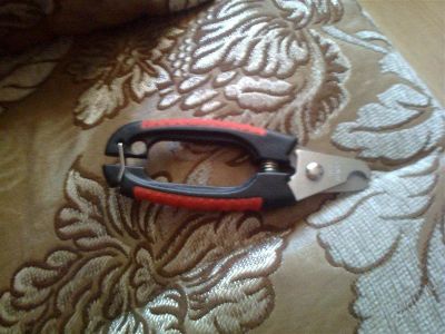 Лот: 2405161. Фото: 1. Ножницы для когтей. Другое (животные и уход)