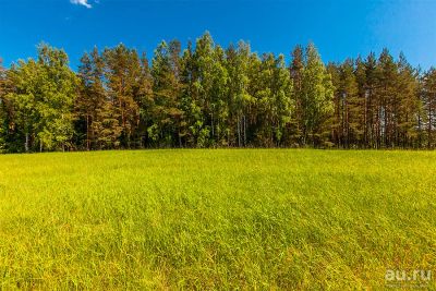 Лот: 13313012. Фото: 1. Куплю участок, Бугачево, Минино... Земельные участки