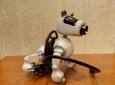 Лот: 10595270. Фото: 1. Рабочая камера USB. Веб-камеры