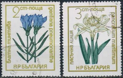 Лот: 20256629. Фото: 1. 1972. Болгария. Цветы. н.с... Марки