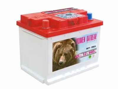 Лот: 6038423. Фото: 1. Аккумулятор 6ст 55 LA Tyumen Batbear... Аккумуляторы
