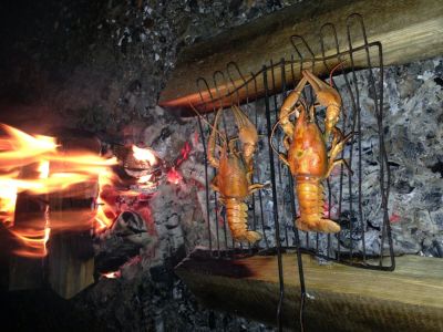 Лот: 4548681. Фото: 1. Раки живые, свежие!!!!. Другое (продукты)