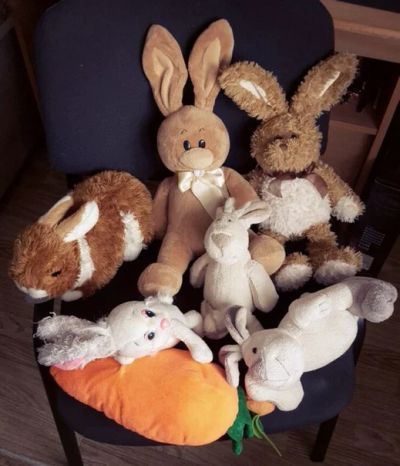 Лот: 6978022. Фото: 1. Коллекция игрушечных кроликов. Мягкие