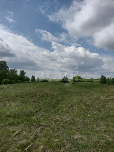 Лот: 25429675. Фото: 1. участок , товарищество собственников... Земельные участки