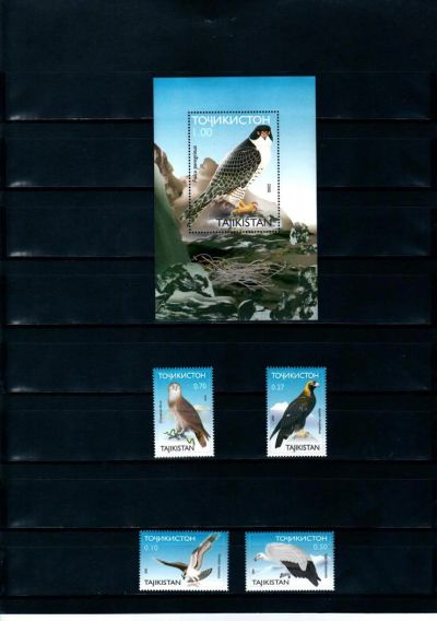 Лот: 5416185. Фото: 1. 2000 Таджикистан Хищные птицы. Марки
