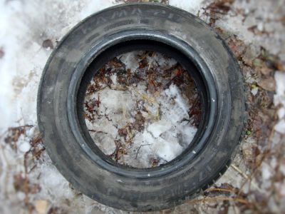 Лот: 6478066. Фото: 1. Шина Кама-217 (175/65/R14; 82H... Шины