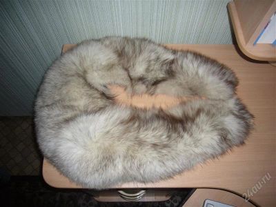 Лот: 1122641. Фото: 1. гаржетка (песец). Накидки, шали, палантины