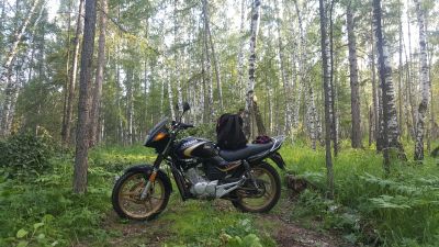Лот: 11619389. Фото: 1. Yamaha YBR125. Мотоциклы