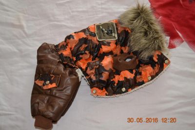 Лот: 7622432. Фото: 1. комбинезон для собаки. Ошейники, одежда, конное снаряжение