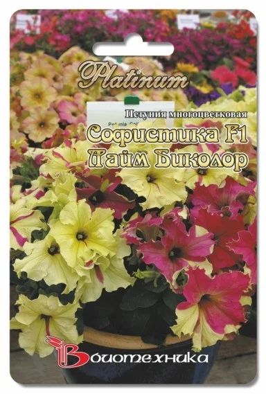 Лот: 6703253. Фото: 1. Петуния крупноцветковая Софистика... Другое (семена, рассада, садовые растения)