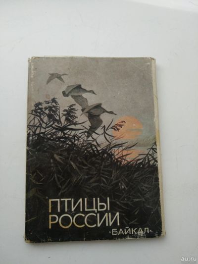 Лот: 16102775. Фото: 1. Птицы России Байкал, набор открыток... Открытки, конверты