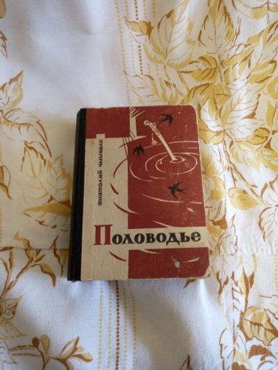 Лот: 15687700. Фото: 1. Книга "Половодье" Анатолий Чмыхало... Художественная