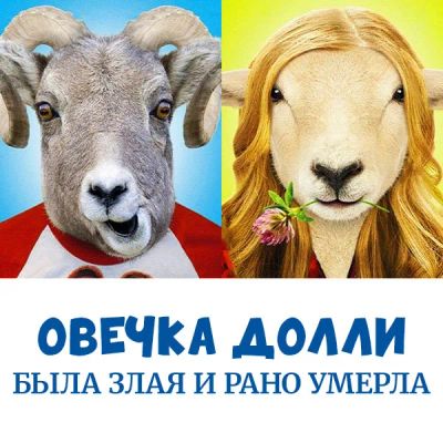 Лот: 24683502. Фото: 1. Овечка Долли была злая и рано... Видеозаписи, фильмы