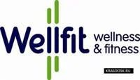 Лот: 3309591. Фото: 1. Клубная карта Well&Fit (Вэллфит... Другое (туризм, охота, рыбалка, самооборона)