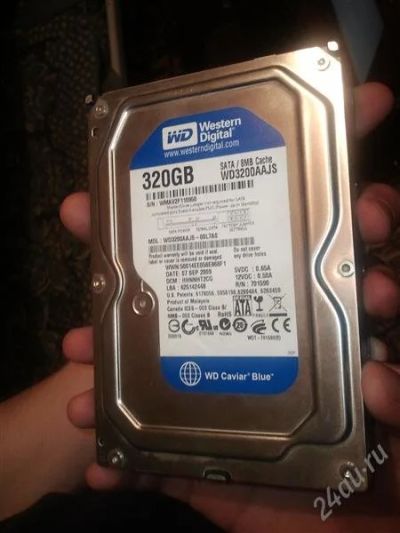 Лот: 2597207. Фото: 1. Western Digital Caviar Blue 320GB. Жёсткие диски (HDD)