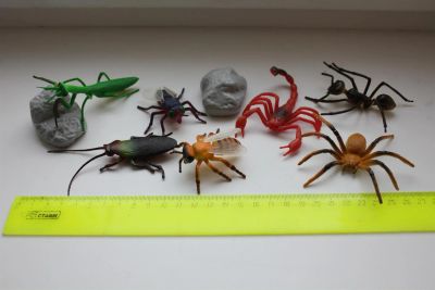 Лот: 3605796. Фото: 1. Набор игрушек насекомые. Развивающие