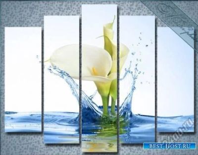 Лот: 5734698. Фото: 1. Модульная Картина "Любимые калы... Холсты чистые