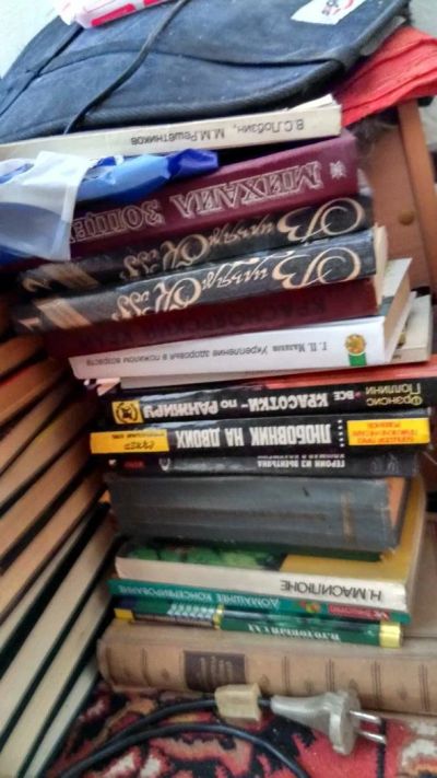 Лот: 10721454. Фото: 1. Много книг одним лотом. Другое (литература, книги)