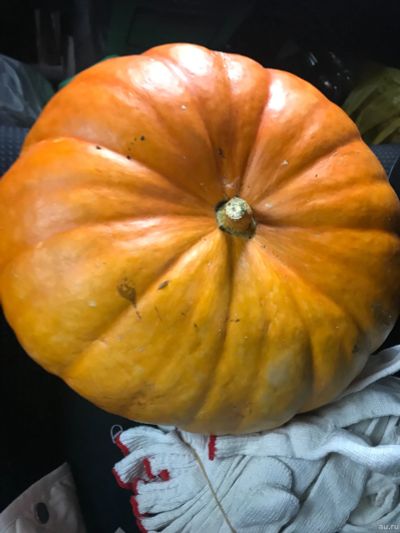 Лот: 18148949. Фото: 1. Тыква 🎃 . Овощи, фрукты, зелень