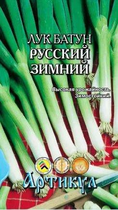 Лот: 11013342. Фото: 1. Лук батун Русский зимний 0,5 г... Овощи