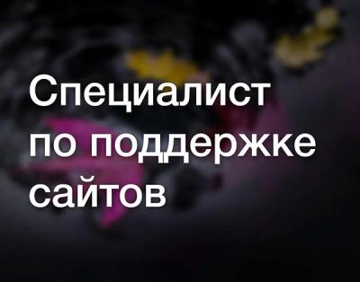 Лот: 7978227. Фото: 1. Специалист по поддержке сайта... IT-услуги (сайты, 1C, IT аутсорсинг)