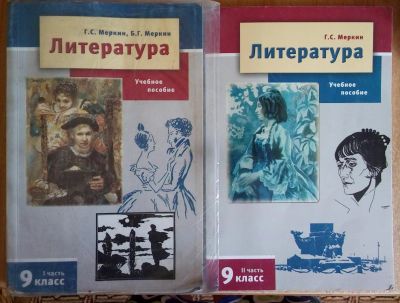 Лот: 7956474. Фото: 1. Литература 9 класс Г.С. Меркин... Для школы