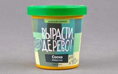 Лот: 12719994. Фото: 1. Вырасти дерево: Сосна Веймутова. Настольные игры, карты