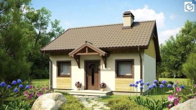 Лот: 10508093. Фото: 1. Z60 Выгодный в строительстве и... Проекты, чертежи