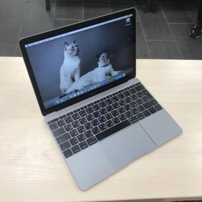 Лот: 6686095. Фото: 1. Apple MacBook 12 дюймов retina... Ноутбуки