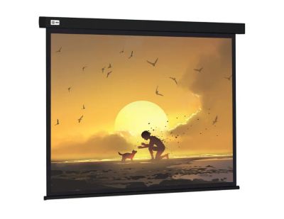 Лот: 25344299. Фото: 1. Экран 150х150см настенно-потолочный... Проекторы