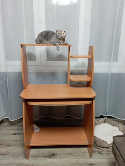 Лот: 20798034. Фото: 1. Компьютерный стол. Компьютерные и письменные столы