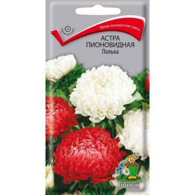 Лот: 25376521. Фото: 1. Семена Цветы, Астра, Полька пионовидная... Другое (семена, рассада, садовые растения)