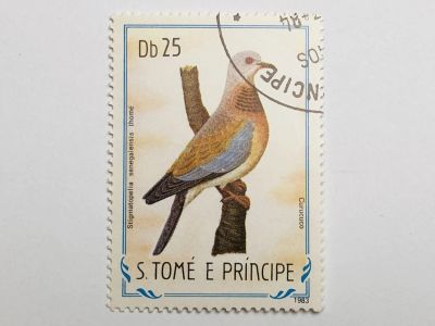 Лот: 23316632. Фото: 1. Птицы. 25 добр. Фауна. Сан-Томе... Марки