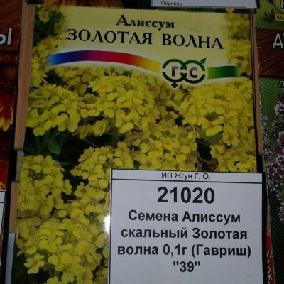 Лот: 9118673. Фото: 1. Семена / цветы / Алиссум / скальный... Садовые цветы