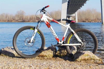 Лот: 1400881. Фото: 1. рама wheeler buddy 03. Запчасти