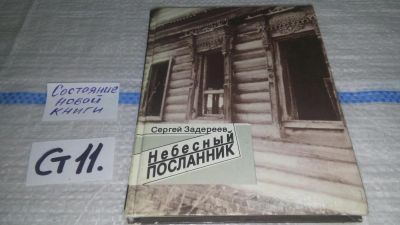 Лот: 11647636. Фото: 1. Небесный посланник, Задереев С... Художественная