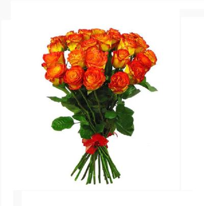 Лот: 16358731. Фото: 1. Букет 11 роза Эквадорская за 1000... Свежие цветы