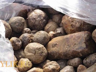 Лот: 5277242. Фото: 1. Продам прополис. Мёд, продукты пчеловодства