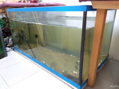 Лот: 13446199. Фото: 1. Аквариум 350 л. Fish SPA пилинг... Аквариумы, террариумы