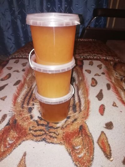 Лот: 18260730. Фото: 1. Мед, с собственной пасики. Мёд, продукты пчеловодства