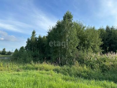 Лот: 25290487. Фото: 1. участок , садоводческое некоммерческое... Земельные участки